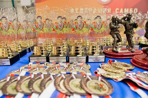 
<p>                                В Казани завершились Всероссийские соревнования памяти МСМК Накипа Мадьярова</p>
<p>                        